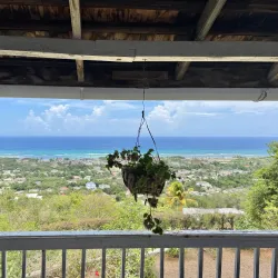 Green Island Great House - Lucea