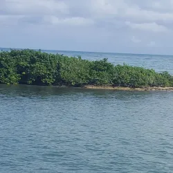 Hanover Museum - Lucea