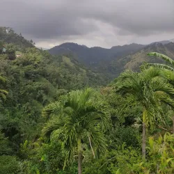 Community Cultural Events - Lucky Hill