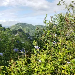 Community Cultural Events - Lucky Hill