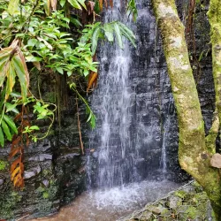 Holywell Recreation Area - Lucky Hill