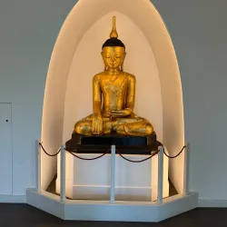 Manchester Museum - Manchester