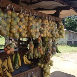 Manchester Parish Church - Manchester