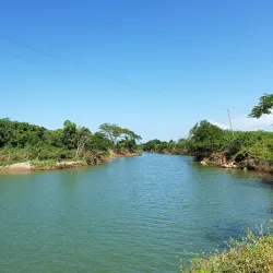 Manchester Parish Church - Manchester