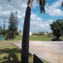 Mandeville Golf Club - Manchester