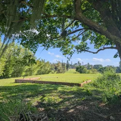 Mandeville Golf Club - Manchester