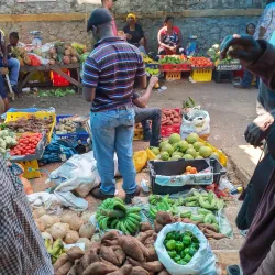 Mandeville Market - Manchester