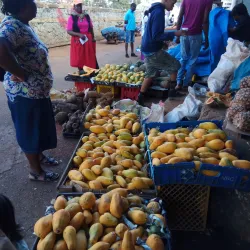 Mandeville Market - Manchester