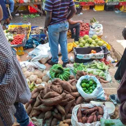 Mandeville Market - Manchester