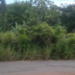 Mocho Mountains - Manchester