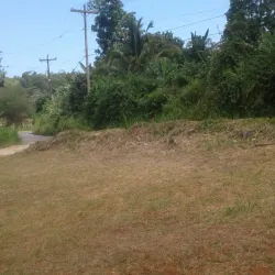 Mocho Mountains - Manchester