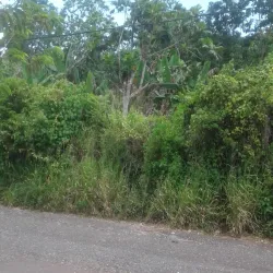 Mocho Mountains - Manchester