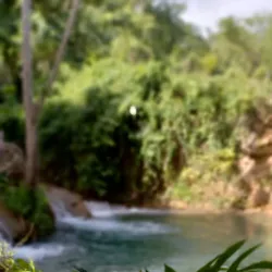 Porus Waterfall - Manchester