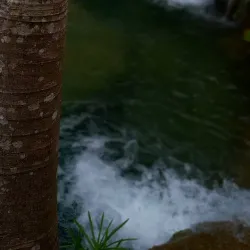 Porus Waterfall - Manchester