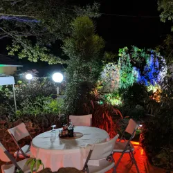 Crawle River Falls - Mandeville