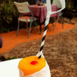 Crawle River Falls - Mandeville