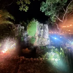 Crawle River Falls - Mandeville