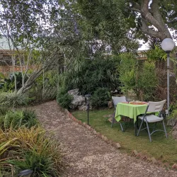 Crawle River Falls - Mandeville