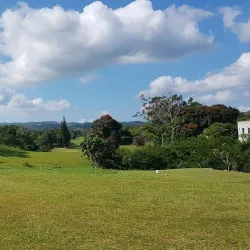 Manchester Golf Club - Mandeville