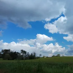 Manchester Golf Club - Mandeville