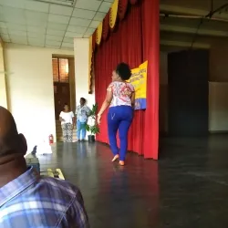 Mandeville Cultural Centre - Mandeville