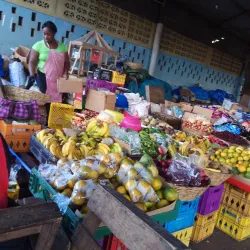 Mandeville Market - Mandeville