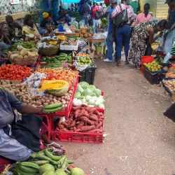 Mandeville Market - Mandeville