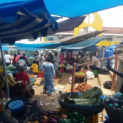 Mandeville Market - Mandeville