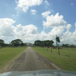 Halse Hall Great House - May Pen