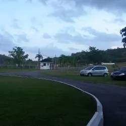 Halse Hall Great House - May Pen