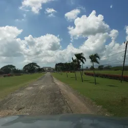 Halse Hall Great House - May Pen