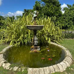 Windsor Great House - May Pen