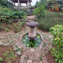 Windsor Great House - May Pen