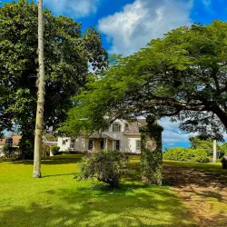 Windsor Great House - May Pen