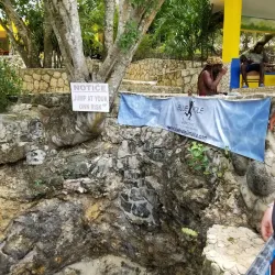 Blue Hole Mineral Spring - Negril