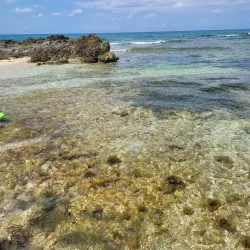 Booby Cay Island - Negril