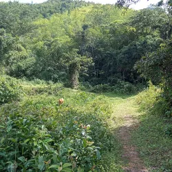 Mayfield Falls - Negril