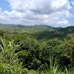Mayfield Falls - Negril