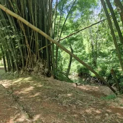 Mayfield Falls - Negril