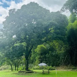 Mayfield Falls - Negril