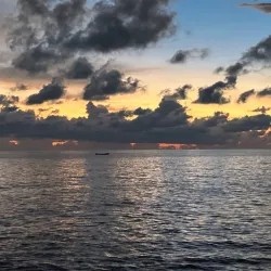 Negril Marine Park - Negril