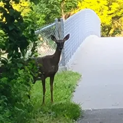 Cedar Valley Nature Park - Newcastle