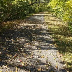 Cedar Valley Nature Park - Newcastle