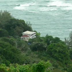 Firefly Estate - Newcastle