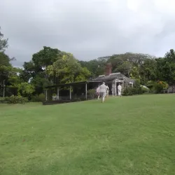 Firefly Estate - Newcastle