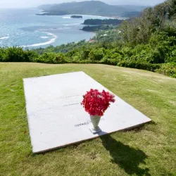 Firefly Estate - Newcastle