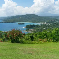 Firefly Estate - Newcastle