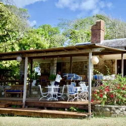 Firefly Estate - Newcastle