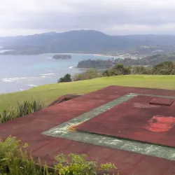 Firefly Estate - Newcastle