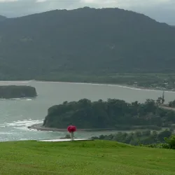 Firefly Estate - Newcastle